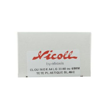 Boîte de 100 clous inox pour fixation bandeau couleur Blanc Nicoll | CI65B