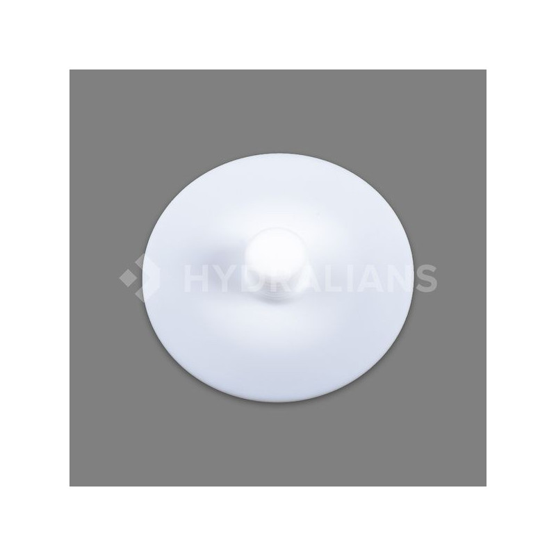 Membrane de rechange PTFE pour WD EMEC | 018.0001.0