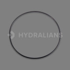 Image du produit : Joint prefiltre hcp4000 / hcp4200 HAYWARD | 500100110006