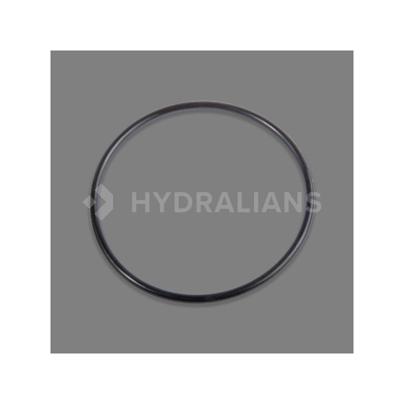 Joint de diffuseur HCP3800 HAYWARD | 500100120003