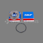 Image du produit : Kit roulements HCP 401003E / 401253E / 421003E HAYWARD | 505010707000