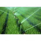 Image du produit : Micro-asperseur agricole ROTATOR R2000WF - 655 L/h NELSON IRRIGATION | 9928-1616