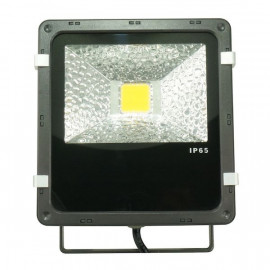 Projecteur LED ABS - 50W BF LIGHT | BF-ABS50WW