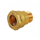 Image du produit : RACCORD COMPRESSION LAITON FILETE - 32 mm - 1" | H001003OT