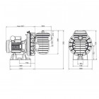 Image du produit : Pompe filtration Sta-Rite monophasée - LA STARITE - 0.75kW PENTAIR | P-STR-071