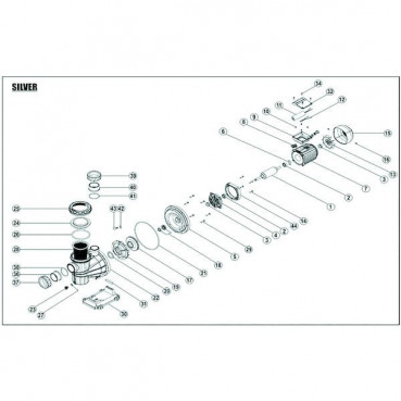 Pompe filtration SILVER triphasée - 0.45kW - 10m³ ESPA | PP15710