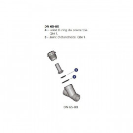 Kit de joint pour clapet de retenue - Diamètre extérieur : 63 mm ALIAXIS | VR163EPM