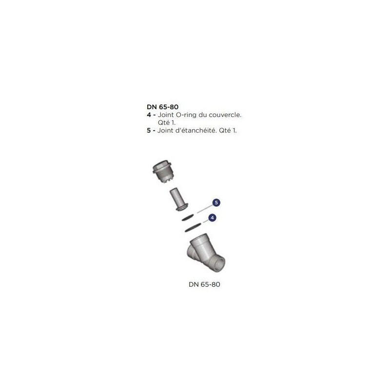 Kit de joint pour clapet de retenue - Diamètre extérieur : 63 mm ALIAXIS | VR163EPM