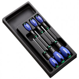 Module d'outils de 6 tournevis Torx pour équiper sa servante à outils vide - Tournevis Resistorx TT10 - TT15 - TT20 - TT25 - TT30 - TT40 "Expert by Facom" | E194941