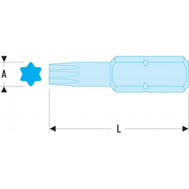 Embout de vissage à chocs série 2 pour vis - Torx (T20) Facom | ENX.220